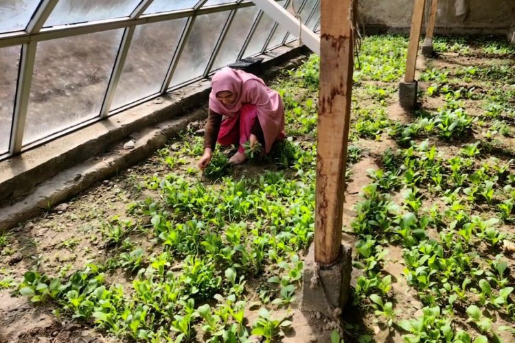 6c97c285-2b80-4d23-bca4-04c8c2ca827a